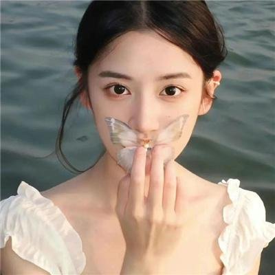 我是海鸥